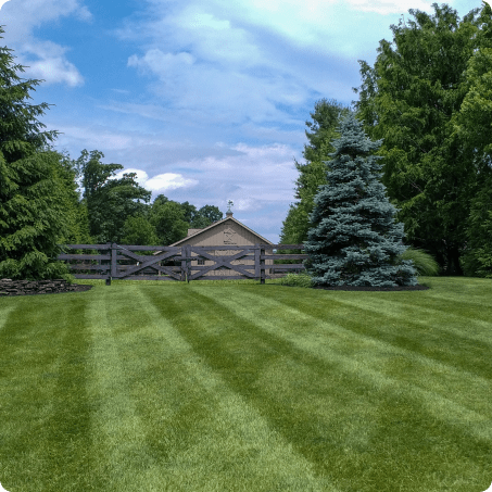 landscaping kalamazoo mi