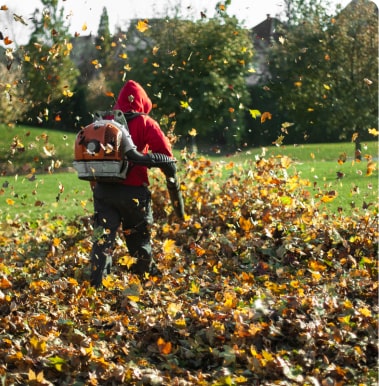 kalamazoo landscapers