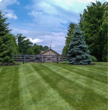 kalamazoo landscapers