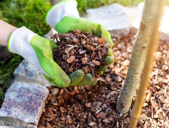 kalamazoo landscapers