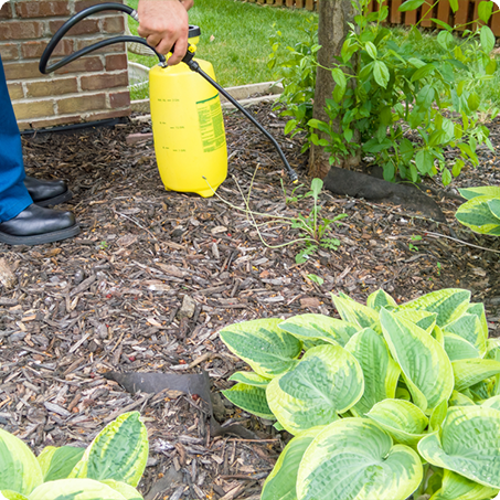 landscapers kalamazoo
