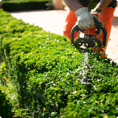 landscapers kalamazoo
