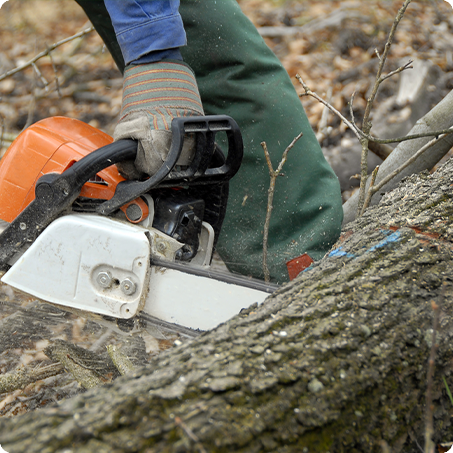 landscapers kalamazoo